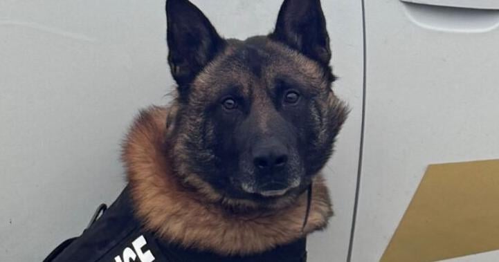 Indiana State Police grieving unexpected death of K