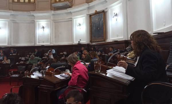 El Concejo Deliberante aprobó la exención  de tasas para el frigorífico Gorina