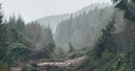 Strong fall storm causes landslide on Vancouver Island