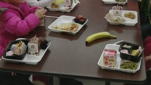 Education leaders, farmers fight to keep SNAP school meal program in Wake County: 'Lot at stake'