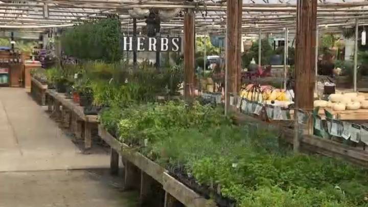 ONE TANK TRIP: Hoen's Garden Center, Queen Bee & Honey Coffee