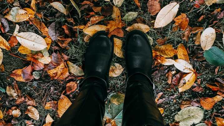 Stevens Point announces leaf pickup and extended yard waste drop