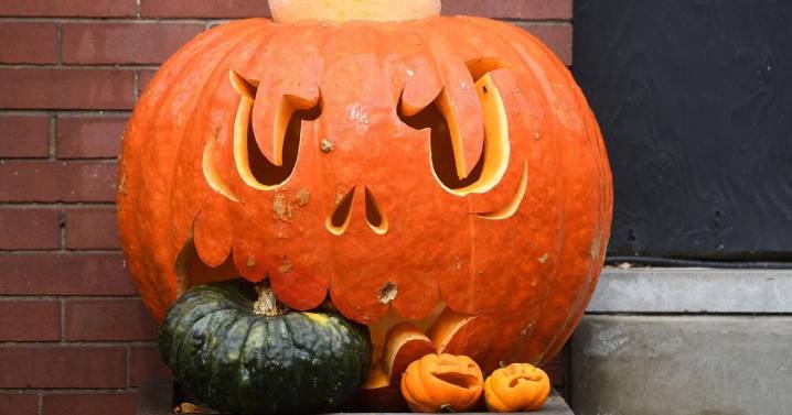 Hamilton arts and culture events to get you through the week