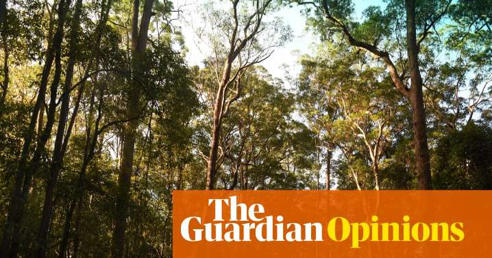 As the Coalition shows its colours on nature, Labor faces a question: will it really protect Australia’s wildlife?