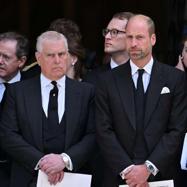Prince William, Royal Family on Prince Andrew Giving Up Titles