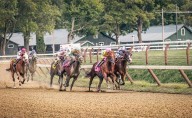 The Resurgence of Horse Racing as a Premier Spectator Sport