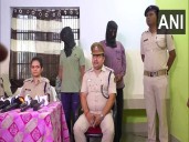 Stray Dog Targeted in Heinous Acid Attack