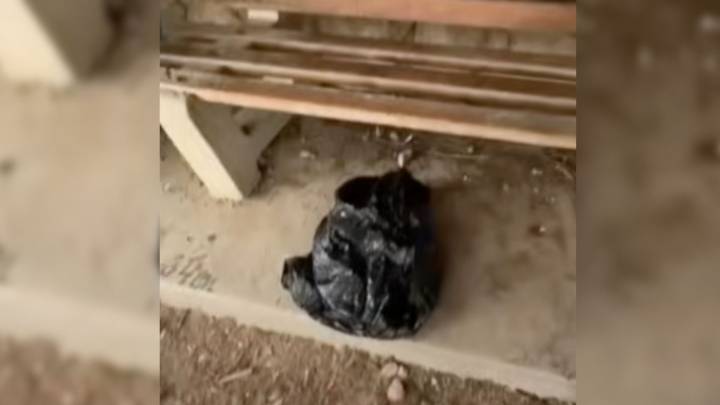 California Runner Spots Moving Trash Bag, Then Sees Two Eyes Staring Back