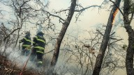 Statewide burn ban issued amid dry weather