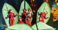 El nido de insectos de Ovo del Cirque du Soleil está por llegar a México: conoce a sus artistas