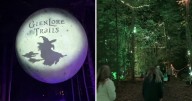 Glenlore Trails brings magical after-dark forest experience to Commerce Township