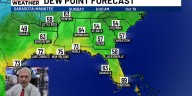 Farmers Market Forecast Sunday