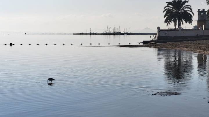 Los 14 salvavidas del Mar Menor frente a la dana Alice