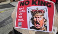 US dispatch: No Kings Day protest asserts the power of free speech and assembly