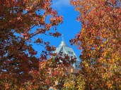 Weekend wind, rain threatens Portland's fall foliage