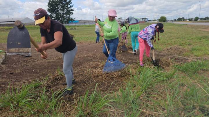 Recuperan jardineras en la zona industrial