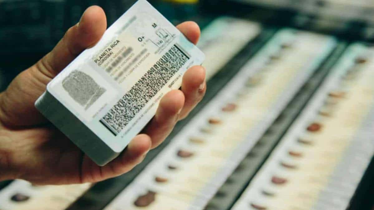 Revise así si su licencia de conducción está suspendida: estas infracciones la cancelan definitivamente