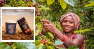 Koraput Coffee Is Pride of Odisha, Says PM Modi in Mann Ki Baat