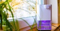 Dehumidifiers will work better at preventing mould if you place it in 1 part of the house