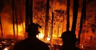 Single risk factor making severe bushfires worse, landmark report finds