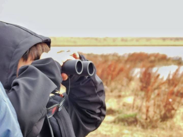 Continúa el Festival de Aves en Río Grande