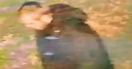 Woman raped in 'racially aggravated' attack as police launch probe