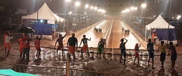 Second-year ‘Rotary Kambala’ concludes at Siddakatte Kodange, progressive farmers honoured