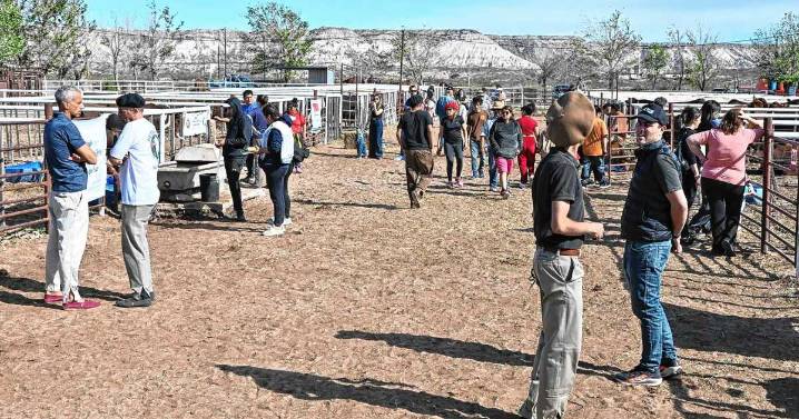 Expo Rural del Alto Valle: un sábado ventoso, pero la gente de campo no afloja