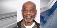 Missing Adult Alert issued 81