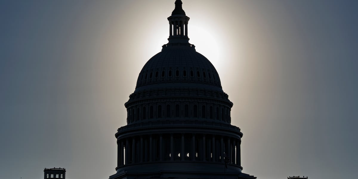 Budget office says ‘substantial’ firings of federal workers have started in government shutdown