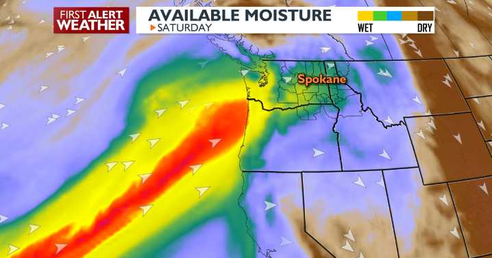 Slow down for foggy weather Thursday morning 🌫️🛻🌫️🚙