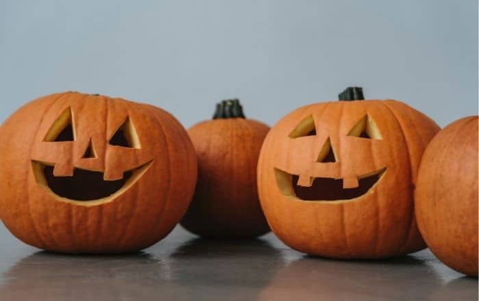 Especialistas destacan el rol de la terapia ocupacional para personas con trastorno de pánico durante Halloween