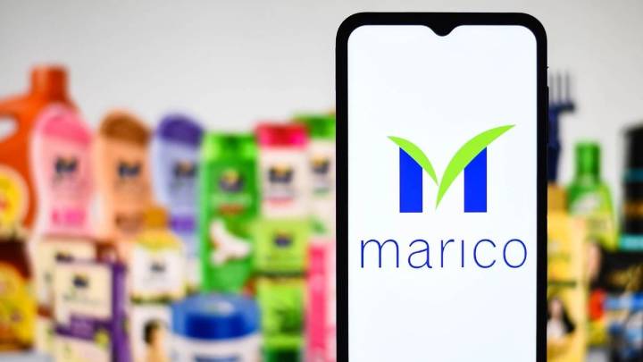 Marico's India business Q2 volume growth in high single digit despite GST related disruption
