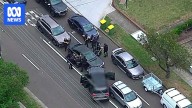 NSW Police release aerial video of arrest in Revesby