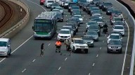Una familia de patos cruzó una autopista y provocó un accidente