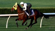 The Everest barrier draw 2025 | Ka Ying Rising lands gate seven; full field; David Hayes, Peter V'landys comments