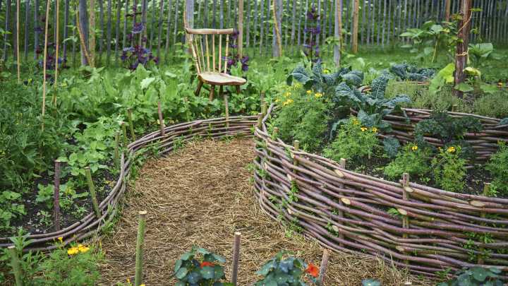 The Common Spice That'll Help Block Out Weeds When Planted In The Garden