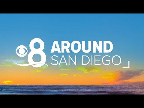 Around San Diego | Top stories from the past week (Oct 30)