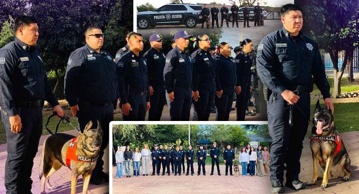 Héroes de cuatro patas: los 17 ‘perros policía’ que entrenan para cuidar y proteger Sonora