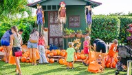 Who was that at the pumpkin giveaway?
