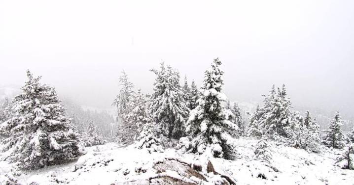 Snow warning issued for Banff Saturday