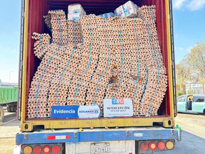 Video | Arica: Descubren 400 mil huevos ocultos en camión “vacío” que venía desde Bolivia