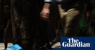 Ebikes cluttering Sydney footpaths to be swept aside by new bill