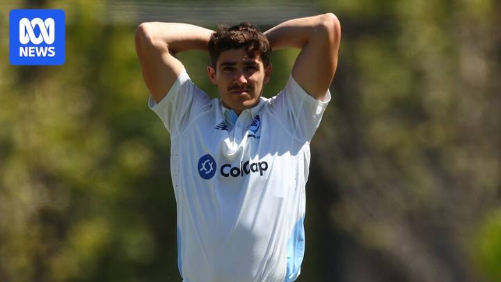 NSW bowler Sean Abbott subbed out of Sheffield Shield game after splitting webbing on hand