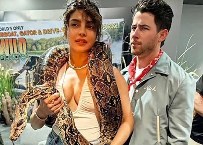 Priyanka Chopra poses with a snake around her neck; Nick Jonas says ‘loving the new jewellery’