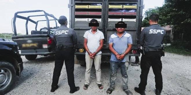Aseguran 300 kilos de marihuana y detienen a dos hombres en operativo federal en Tabasco
