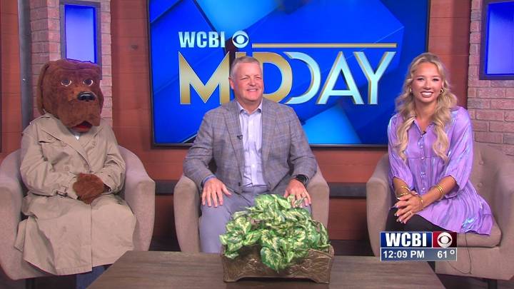 Midday (Stay Safe On Halloween)