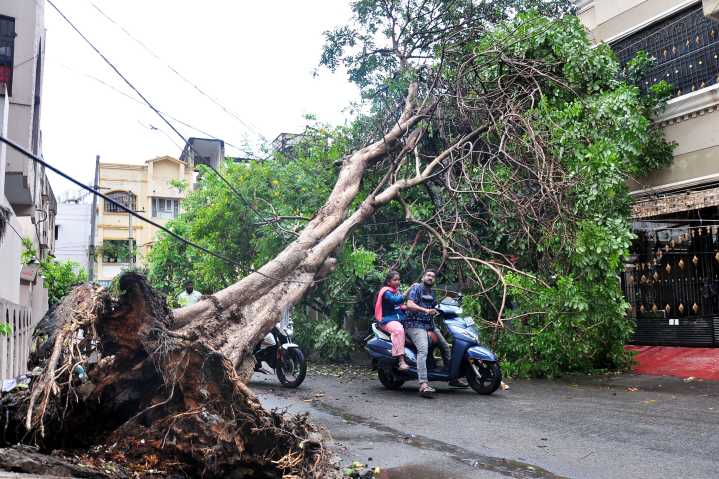 Cyclones, Including Latest Montha, Worsens Green Cover in North Andhra