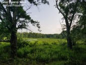 Baker Swamp in Jackson County Named Ohio’s 150th State Nature Preserve