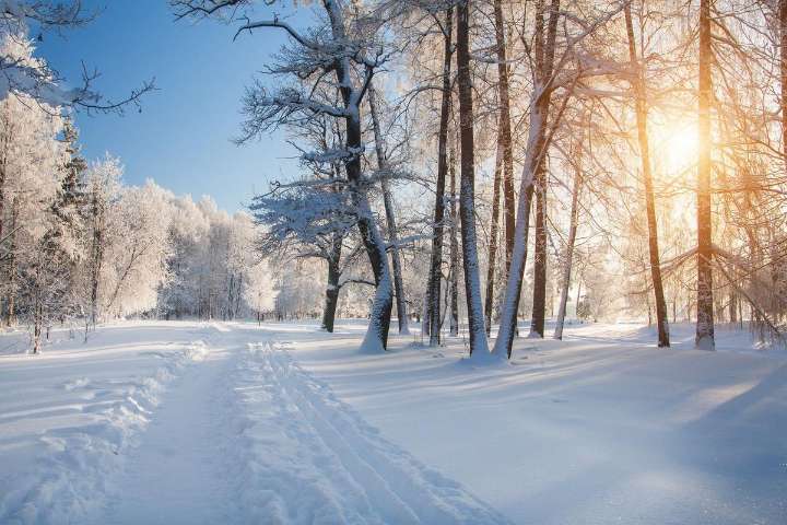 AccuWeather: Southern Indiana Faces Bad Winter in 2025